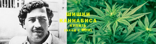 твердый Алзамай